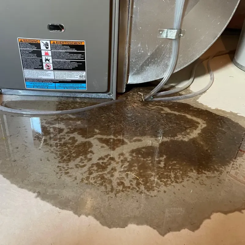Appliance Leak Cleanup in Liberty, UT