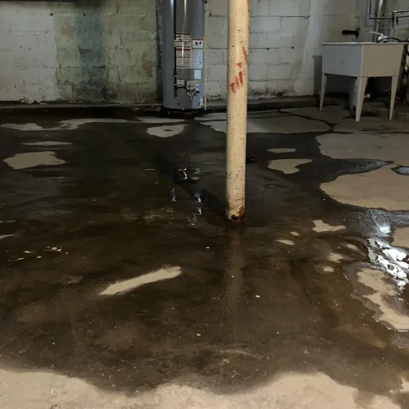Emergency Water Extraction And Removal in Liberty, UT